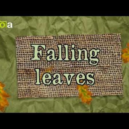 concours_agility_du_22_nov