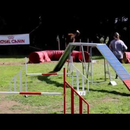 video_agility_groupe_master