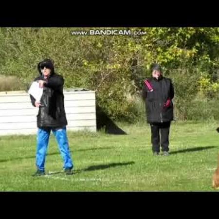 jarwen_chien_en_3_avec_berengere_guillaumin