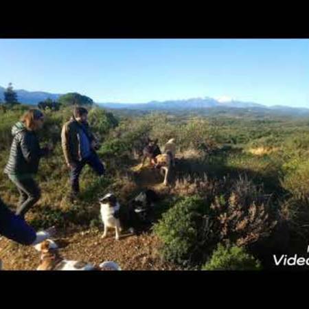 rando_du_15122019_bataille_du_boulou