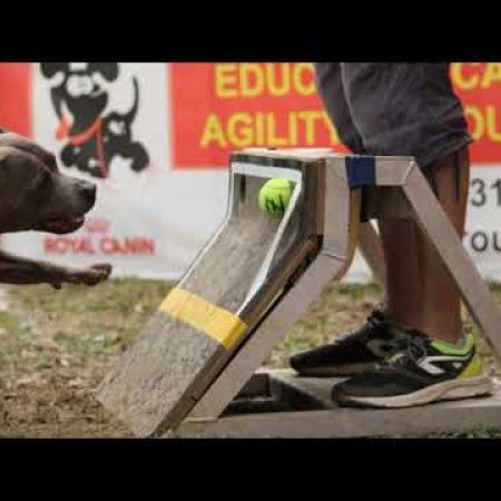 grand_prix_de_france_scc_de_flyball_2021