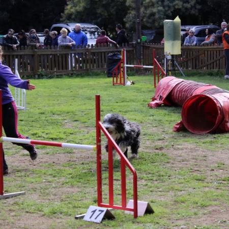 video_du_18_mars_2018_partie_2