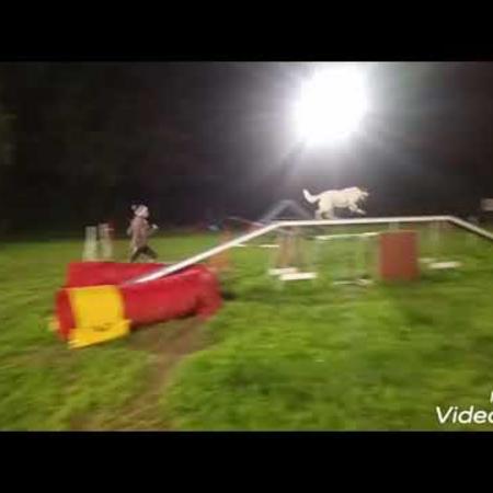 entrainement_agility_21_nov_2019