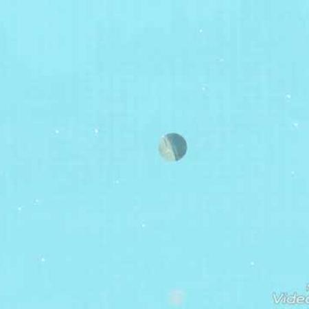 video_du_18_mars_2018_remise_des_prix