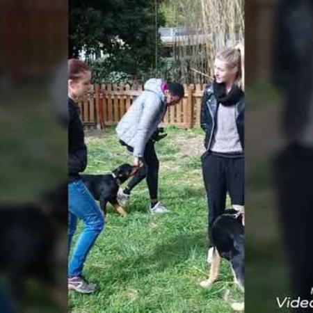 cours_des_chiots_avril_2018