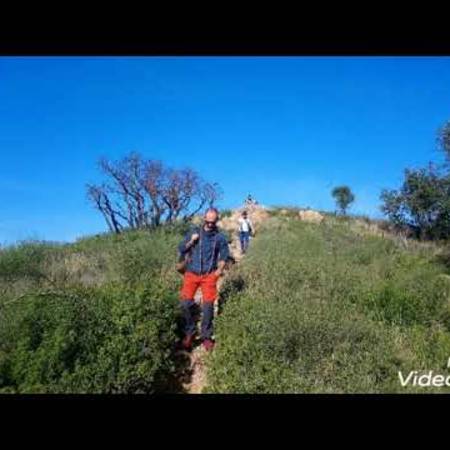 pic_estelle_-_le_boulou