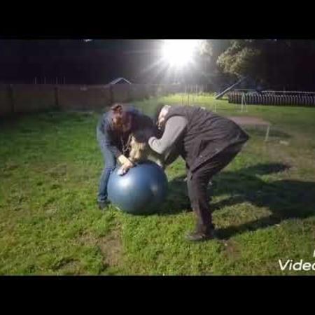 seance_de_proprioception