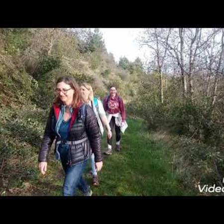 montesquieu_des_alberes