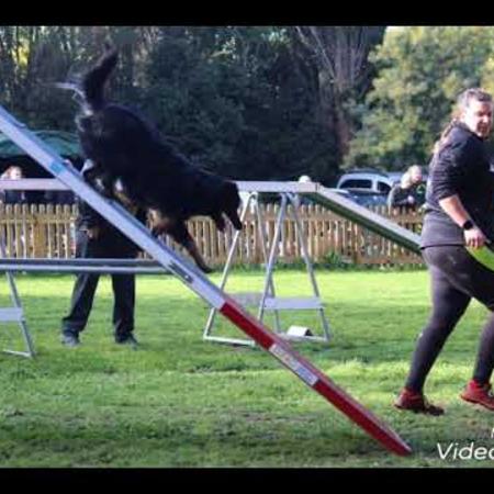 video_du_18_mars_2018_partie_1